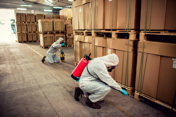 Reliable Richfield, UT Pest Control Solutions