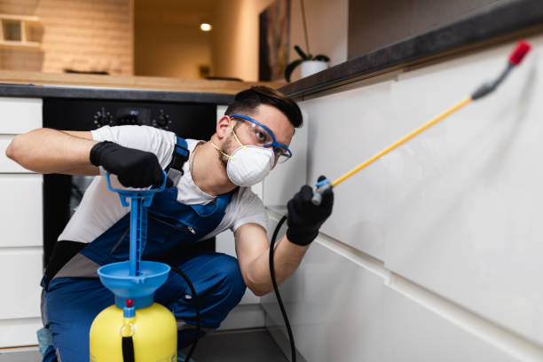 Best Pest Removal Services  in Richfield, UT