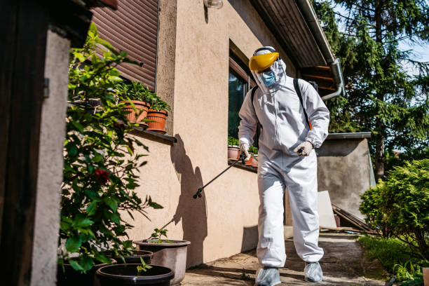 Best Cockroach Control Services  in Richfield, UT
