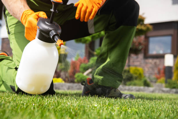 Best Best Pest Control Companies  in Richfield, UT