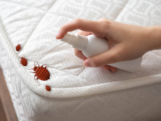 Best Residential Pest Control  in Richfield, UT