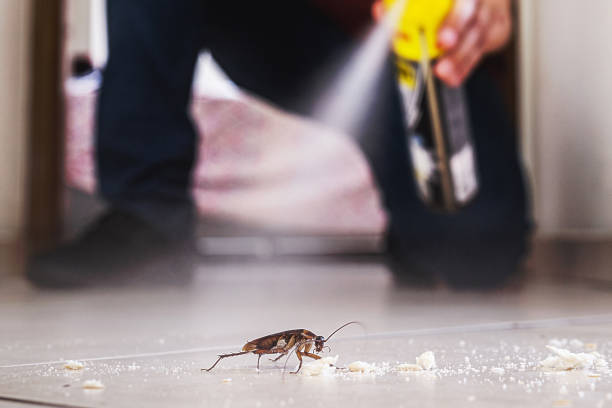 Best Rat Extermination Near Me  in Richfield, UT