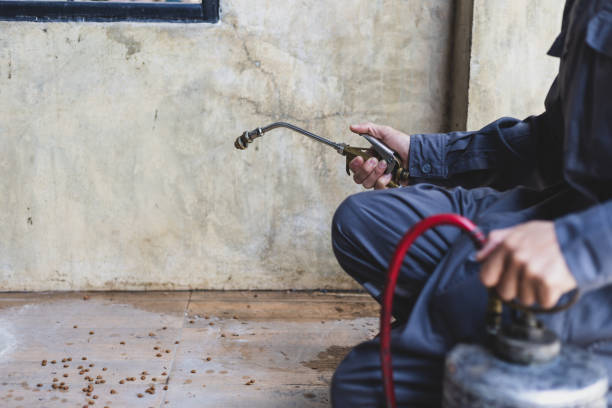 Best Pest Inspection Near Me  in Richfield, UT